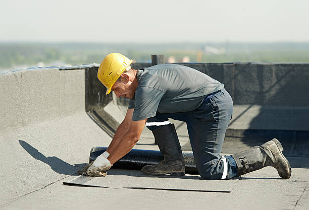 Best Geographic-Specific Insulation Services in Mineola, NY